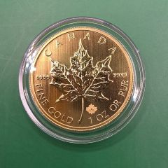 Coin - Maple Leaf 9999 - 1 OZ - Year 2013